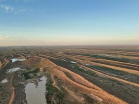 Aerial view of winding inland channels and floodplains across the arid landscape near Lake Eyre