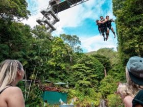 A look into the adventurous world of Skypark Cairns
