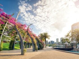 South Bank