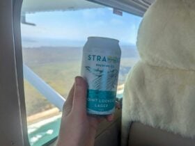 A Straddie Brewing Co Point Lookout Lager beer beside an airplane window