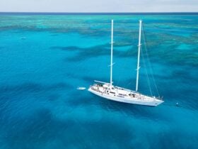 explore our paradise with us we know the reef