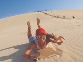 Tangalooma Desert Safari