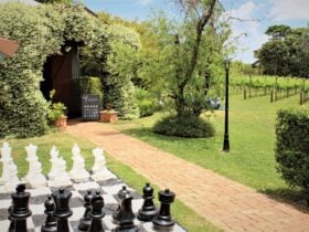 Winery, wine tasting, brisbane