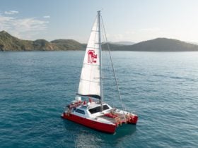Tongarra Day Sail Vessel