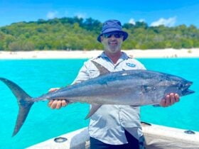 Longtail Tuna Whitehaven Beach