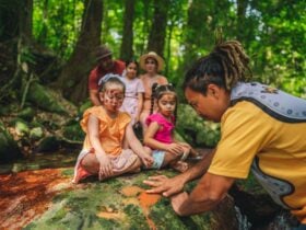 Learning about bush foods, medicines and resources with Aboriginal guide