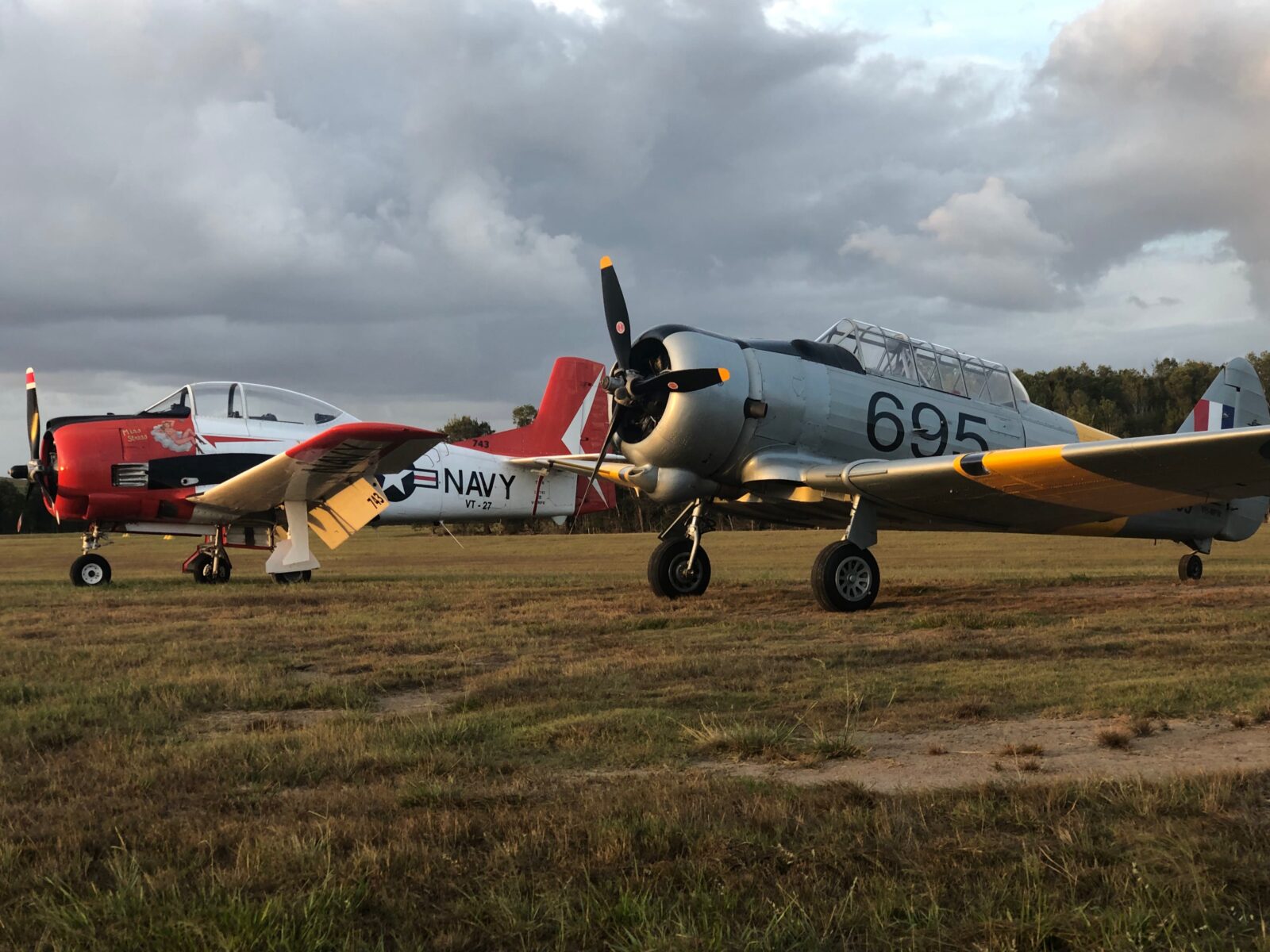 Wirraway and Trojan Aircraft