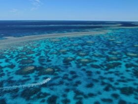 Outer reef arial shot - Kiana
