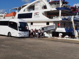 53 Seater at Cruise Wharf