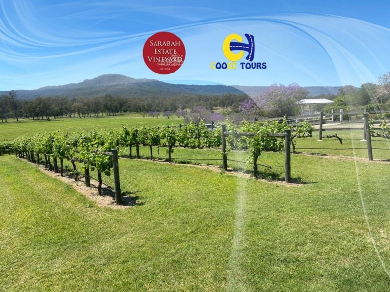 Enjoy lunch and wine tasing against a wonderous backdrop of vineyards