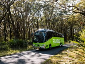 A green Flixbus on a road surrounded by bush.