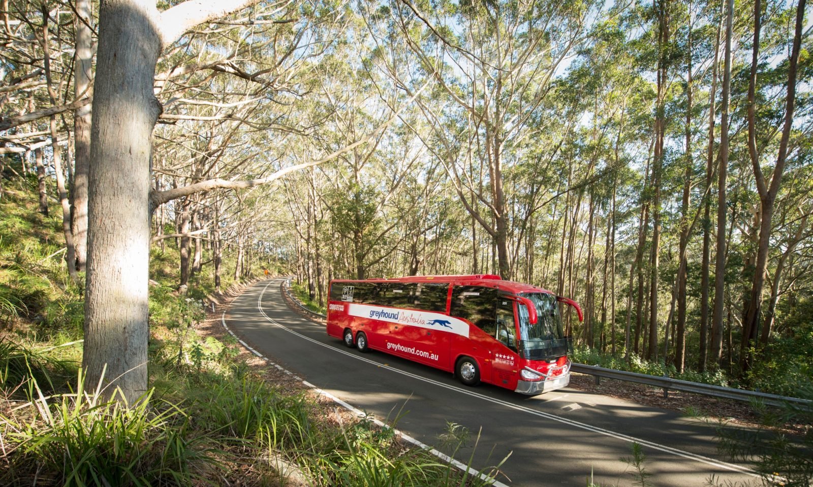 Luxury Coach travel City, Coast, Country.