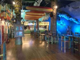 Aussie World Transfer with Joel