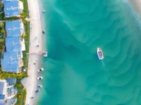 Our ferry cruise operates seven days per week with seven stops along the Noosa River