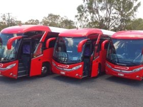 bus 2