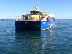Check out the wildlife while traveling across to the Island
