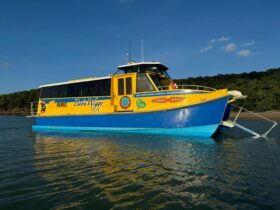 This is our primary vessel ferry servicing between Thursday Island & Horn Island Harbour