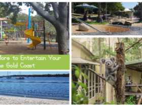 Fun Things for Toddlers