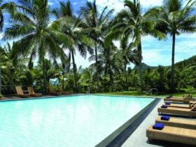 Great Barrier Reef Adventure