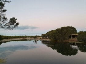 Antechamber Bay North Campground