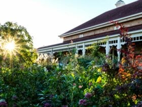 Ballara Art & Lifestyle Retreat