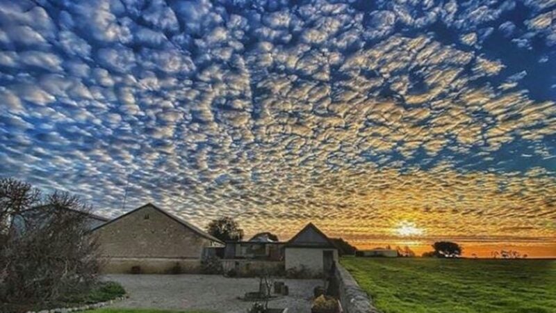 Ballara Art & Lifestyle Retreat