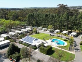 BIG4 Barossa Tourist Park edit1