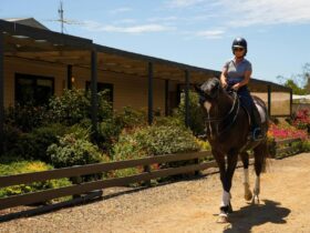Horse and Rider in front of the private holiday home