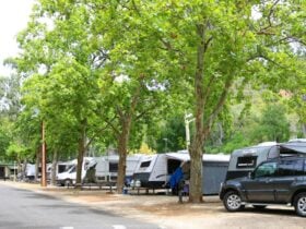 Brownhill Creek Tourist Park