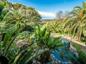 Large Garden