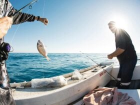 Cowell Fishing