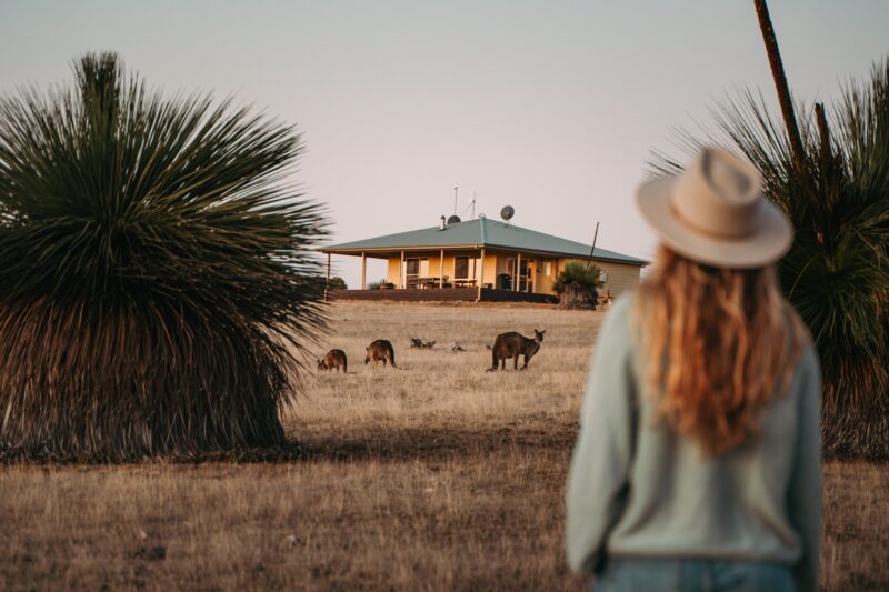 the Residence wildlife