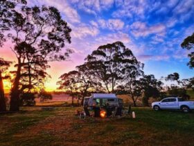 Edgehill Farm Stays Riverton