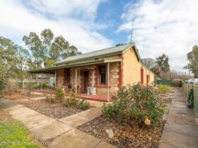 friendly cottage
