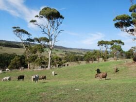 Green Pastures Retreat