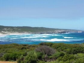 Hanson Bay Wildlife Sanctuary