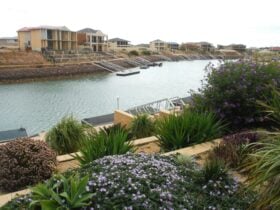 Happy Gilmore, Wallaroo