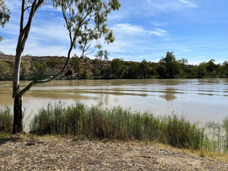 Campsite Hart Lagoon camping area