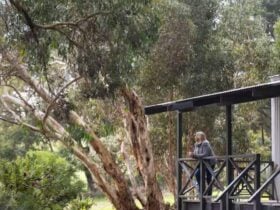 Heysen's Rest