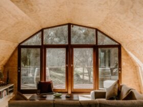 Photo of lounge area in dome house with timber walls, glass doors open and view of trees beyond.