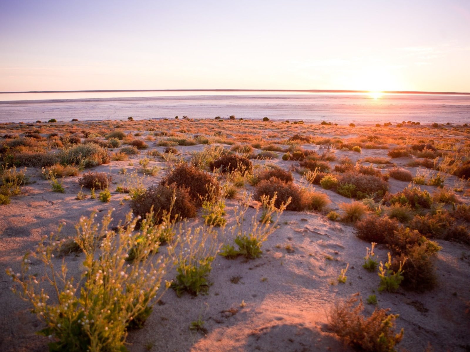 Sunrise at Kati Thanda-Lake Eyre National Park
