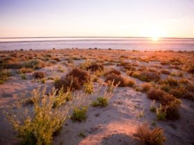 Sunrise at Kati Thanda-Lake Eyre National Park