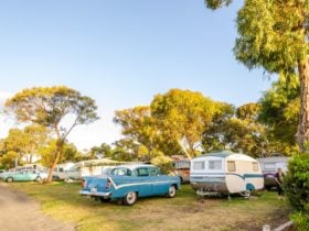 Vintage Caravans Meningie