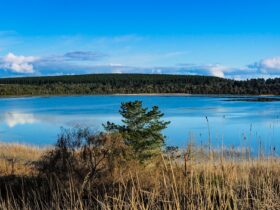 Weekend at the Lake