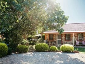 Langmeil Cottages in Tanunda