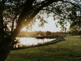 Landscaped grounds, vineyard and lake