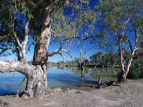 Loch Luna and Moorook Game Reserves