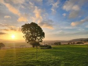 The view from the lawn at sunset