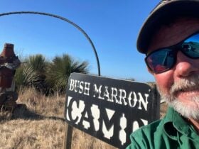 Marron Bush Escape