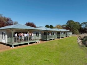 McLaren Vale Cabin Caravan Park Guests on the deck of the Nature View Cottages